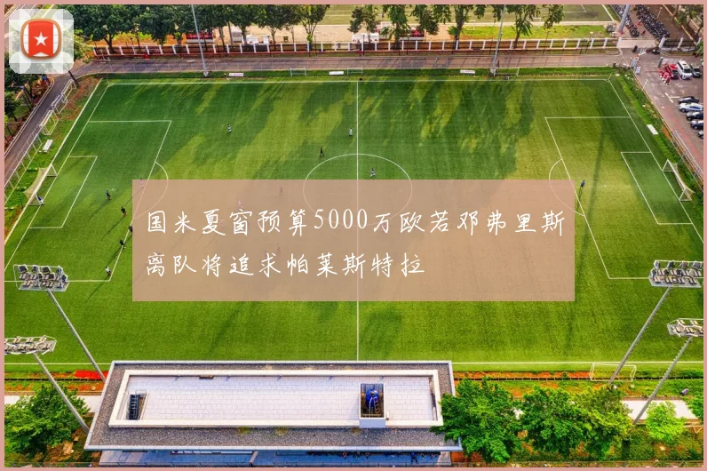 国米夏窗预算5000万欧若邓弗里斯离队将追求帕莱斯特拉