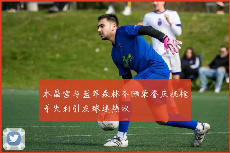 水晶宫与蓝军森林齐晒荣誉庆祝枪手失利引发球迷热议